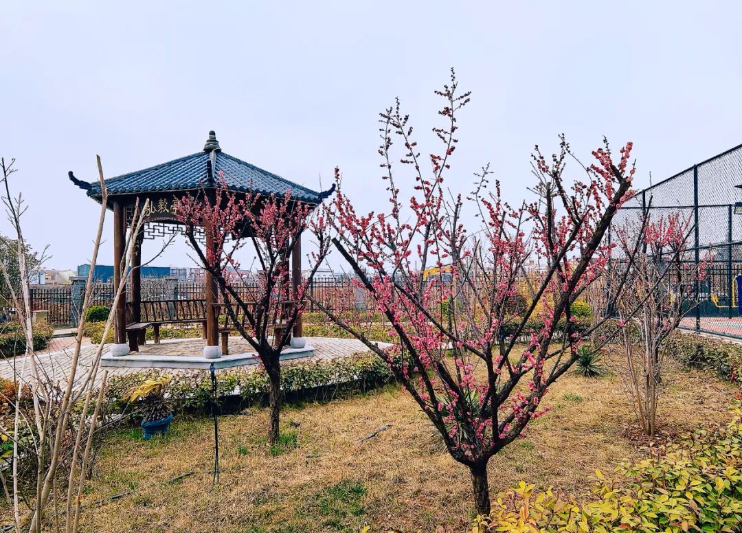 微信圖片_20250310104010.jpg 微信圖片_20250310104010.jpg